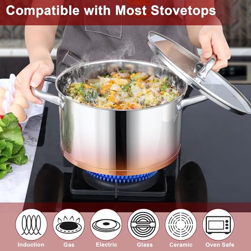 6 QT Stainless Steel Stock Pot (6 Quarts)
