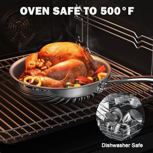 Multi Ply Clad Stainless Steel 10" Frying Pan (Silver / 10")