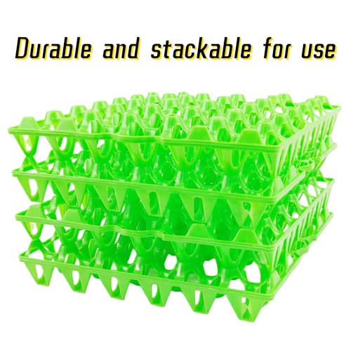 4 Pack Plastic Egg Tray Egg Crates (4 Count)