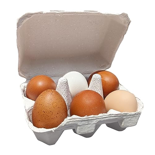 Half Dozen Blank White Egg Cartons (White / 20)
