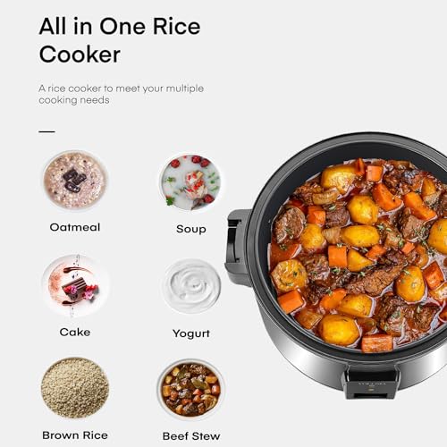 Large 15L Commercial rice cooker 84 cups cooked (Silver & Black / 84 Cups Cooked - Rice Cooker & Warmer)