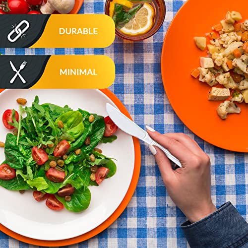 Heavy Weight Disposable Plastic Knives (Knives)