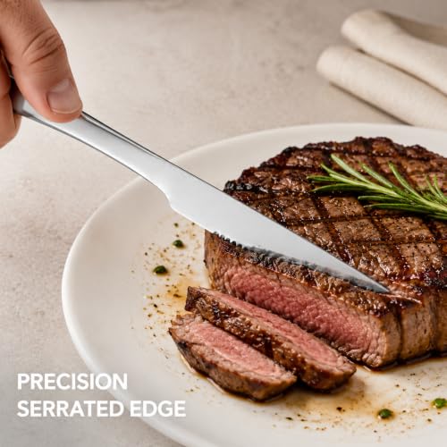 12 Piece Stainless Steel Steak Knife Set (9.06inches Steak Knife 12pcs)