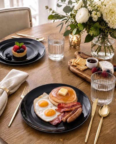 60 PCS Black Plastic Plates (Black / 60 PCS)