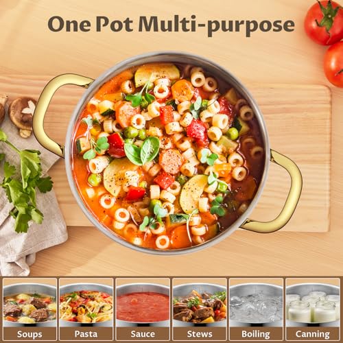 12 QT Stainless Steel Stock Pot (12 Quarts)