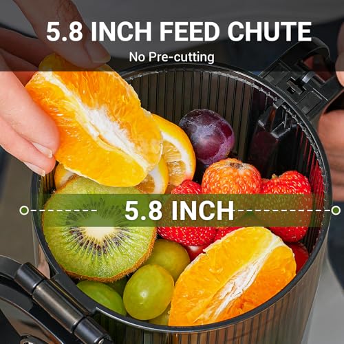 Cold Press Juicer (Gray / 5.8")