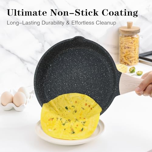 Non Stick Frying Pan Skillet (Classic Granite / 12.5 Inch)