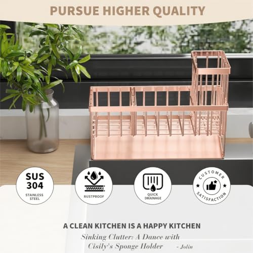 Sink Caddy Organzier with High Brush Holder