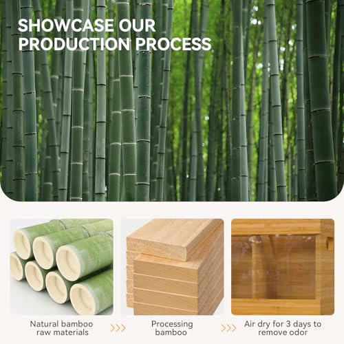 Bamboo Kitchen Utensil Holder with Drying Stone and 6 Compartments (White / Medium)