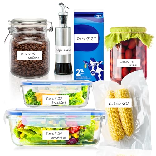 600 Blank Removable Freezer Labels with Perforation Line for Easy Distribution and Use. Waterproof and Oil (600 Pcs - 1 "x 3")