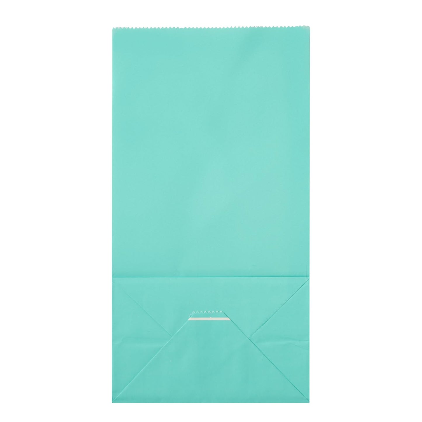 Turquoise Paper Bag (4 lb / Turquoise)