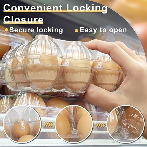 40 Pack Egg Cartons (Medium-40PK-18CT)
