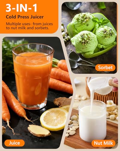 Slow Juicer with Reverse Function (Grey)