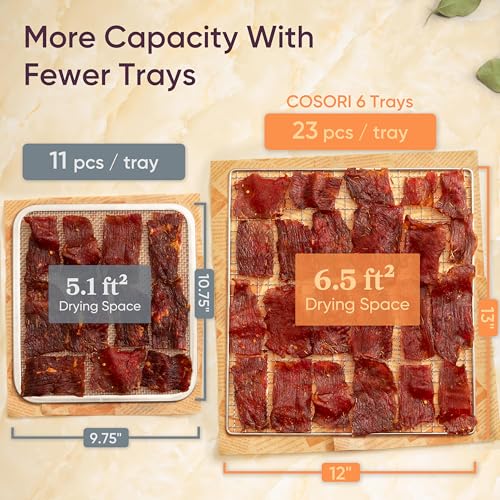 Food Dehydrator (Black / 6 Trays(6.5ft² Drying Space))