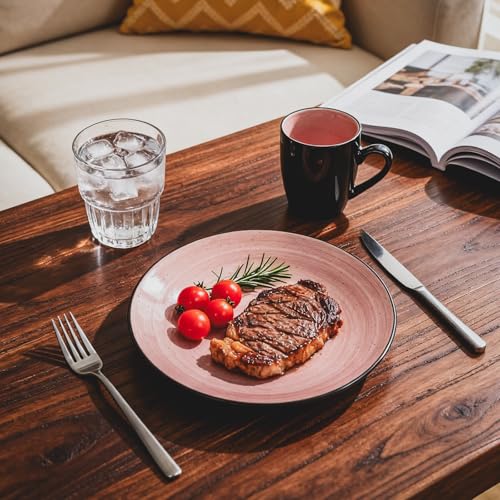 HomeVss Stoneware Sonoma Dinnerware Set