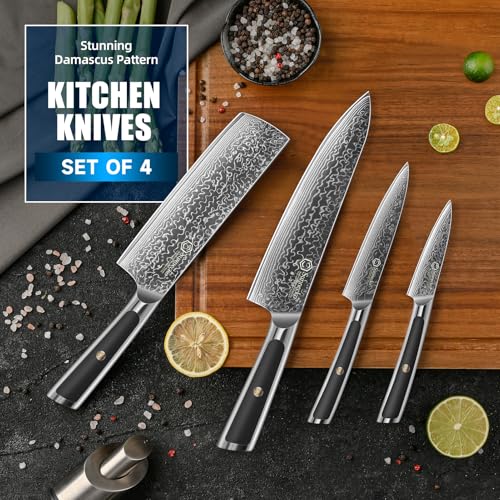 Damascus Kitchen Knife Set 4 Piece (Set of 4)