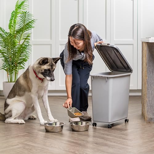 Dog Food Storage Container (40 lbs / Gray/Dark Gray)