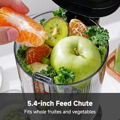 Cold Press Juicer Machine (Silver / 5.4")