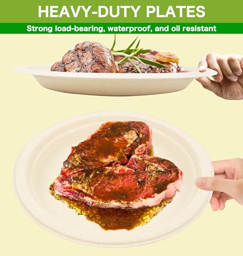 100% Compostable Disposable Paper Plates Heavy Duty Waterproof Plates (10 INCH / 50 PCS PLATES)