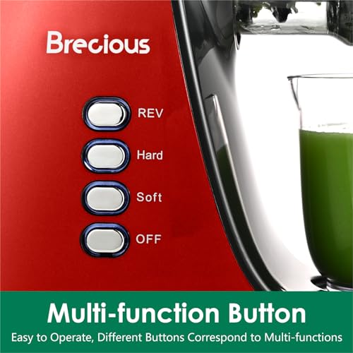 Slow Masticating Juicer