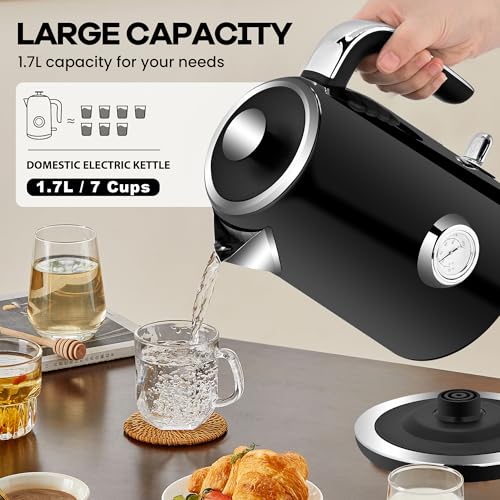 Electric Kettle (Black)