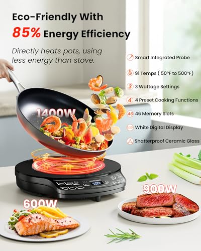 Portable Induction Cooktop Diamond with Probe (PIC Diamond)