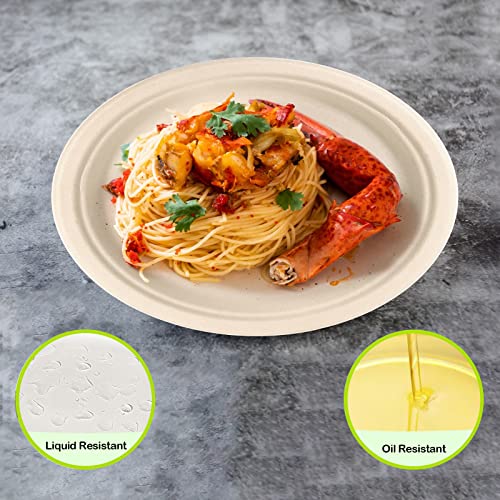500 Pack Compostable Paper Plates 9 inch (9 inch 500 pack)