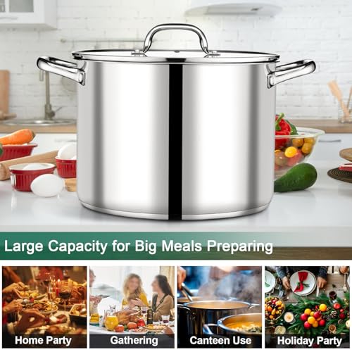 20 QT Stainless Steel Stock Pot with Lid (20 Quarts)