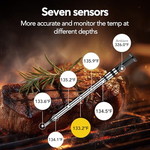 WiFi Sub 1G Wireless Meat Thermometer Unlimited Range