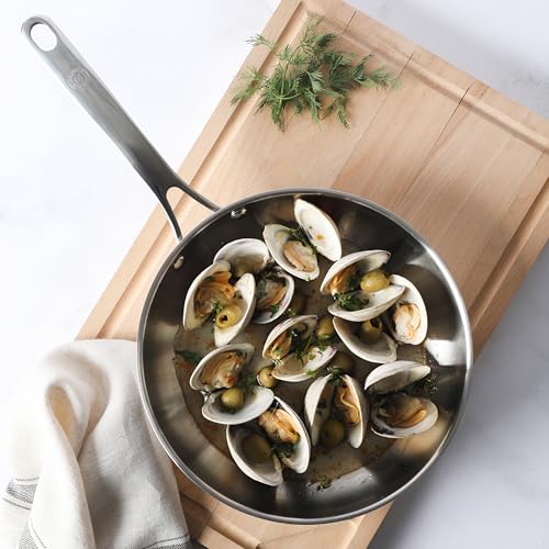 Castelle 10" Stainless Steel Frying Pan Non Toxic Fry Pan Skillet (Stainless Steel / 10" Frying Pan)