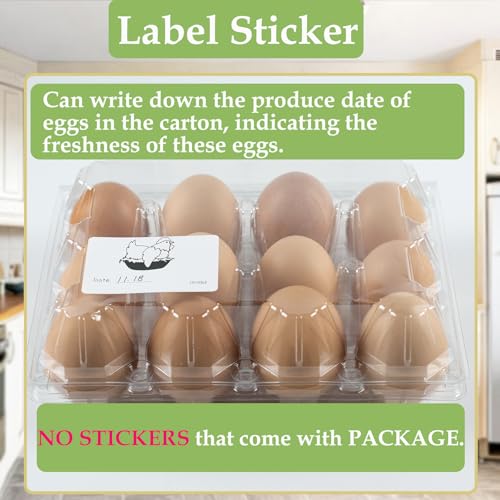 48 Pack Egg Cartons Cheap Bulk 12 Count (Medium-48PK-12CT)