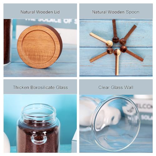 Glass Jar with Acacia Screw Lid and Spoon (Round/16oz*3/Acacia Screw Lid)