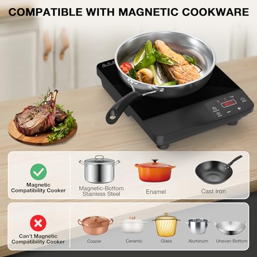 Portable Induction Cooktop 1800W (11 Inch Black)
