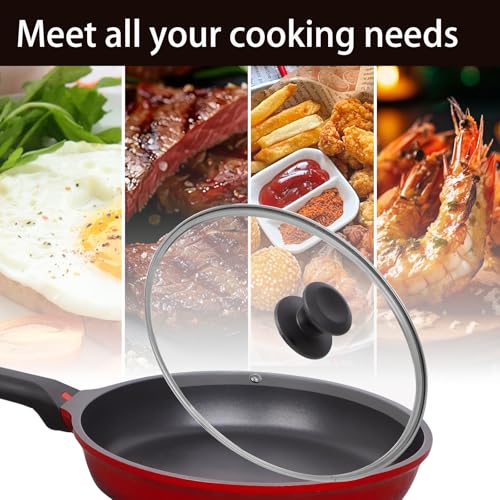 11 inch Tempered Glass Lid for Pots (11'' / Black)