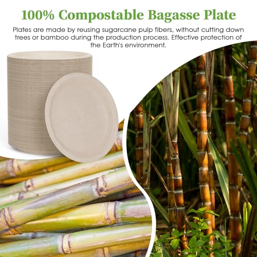6 in 200 Pack Natural Disposable Compostable Dessert Paper Plates (6in-200natural)