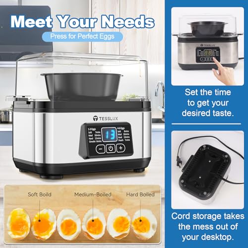 Electric Egg Cooker (Silver)