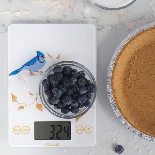 Arti Blue Jay Glass Food Scale Digital Countertop Kitchen (White / 9" X 6.5" X 0.75")