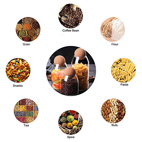 750ML 25Oz Glass Storage Container with Ball Cork (750 ml/25 oz)