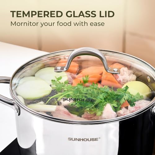 Stainless Steel Stock Pot