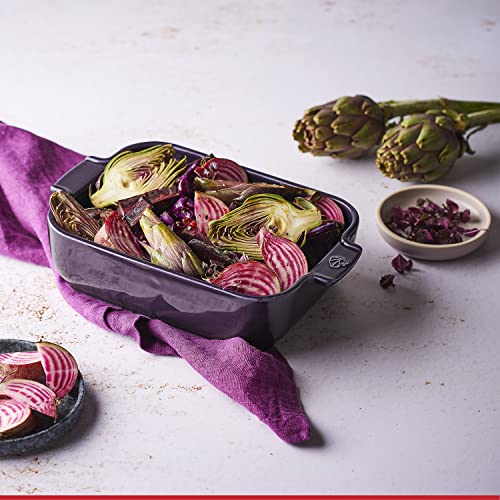 Appolia Rectangular Oven Dish (Eggplant / 9.84 inches)