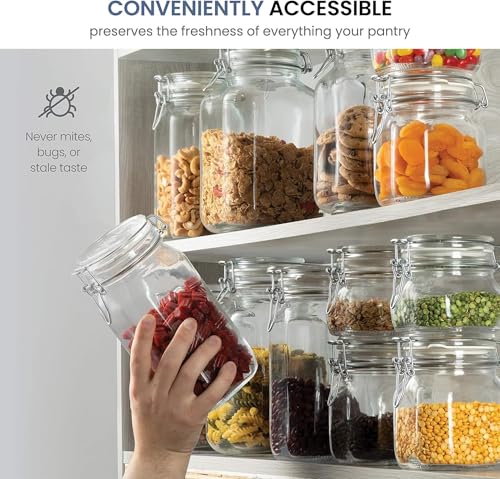Fido Glass Jars (25.25 oz)