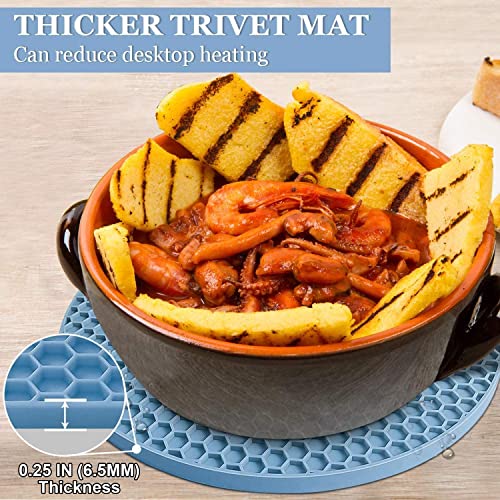 Silicone Trivet Mats