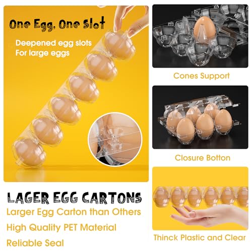 100 Pack Large Egg Cartons Cheap Bulk 12 Count Plastic Egg Containers 2x6 (100Pack-2x6 Large)