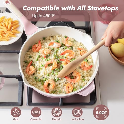 Nonstick Skillet with Lid 12 (Sakura Pink / 12-inch/5QT)
