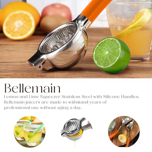 Metal Lemon Squeezer