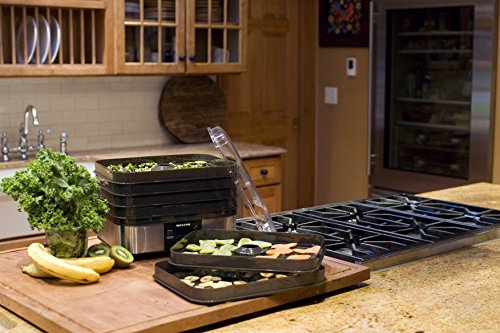 Food Dehydrator Machine for Jerky (Digital Temperature Control (100-160F) / 6 Stackable Trays (7.4 sq. ft.), Black)