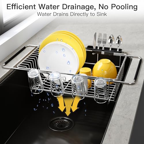 in Sink Dish Drying Rack with Drainboard and Utensil Holder (Silver / For 12"-30"w Sink, with Drainboard)