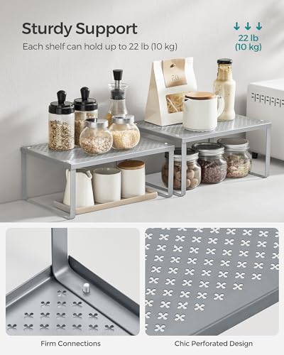 Set of 2 Metal Spice Racks (Silver / 2 Tiers (9"D x 12.6"W))