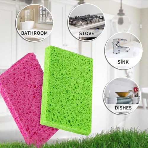 30 Pack Compostable Pop (Multicolor / 30 Packs)