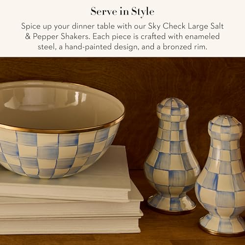 Enamel Salt and Pepper Shakers (Sky Check / Large)